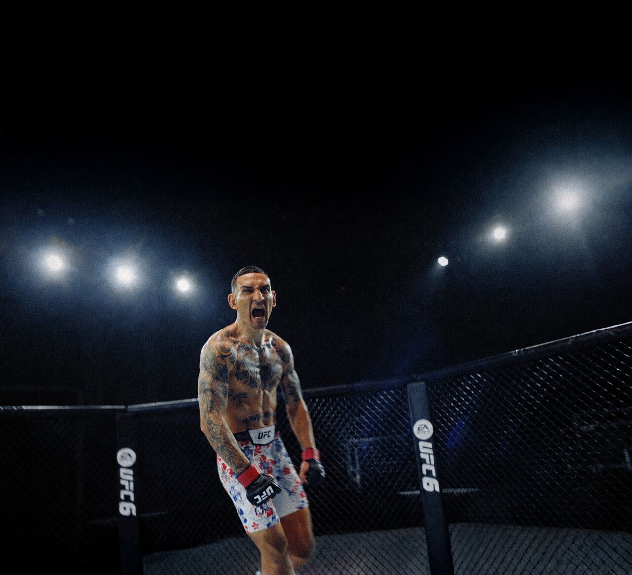 UFC 6